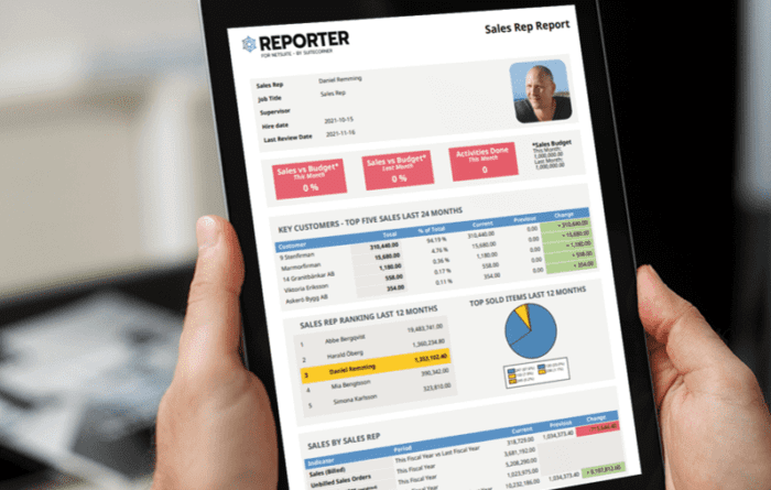 Sales Rep Report in NetSuite