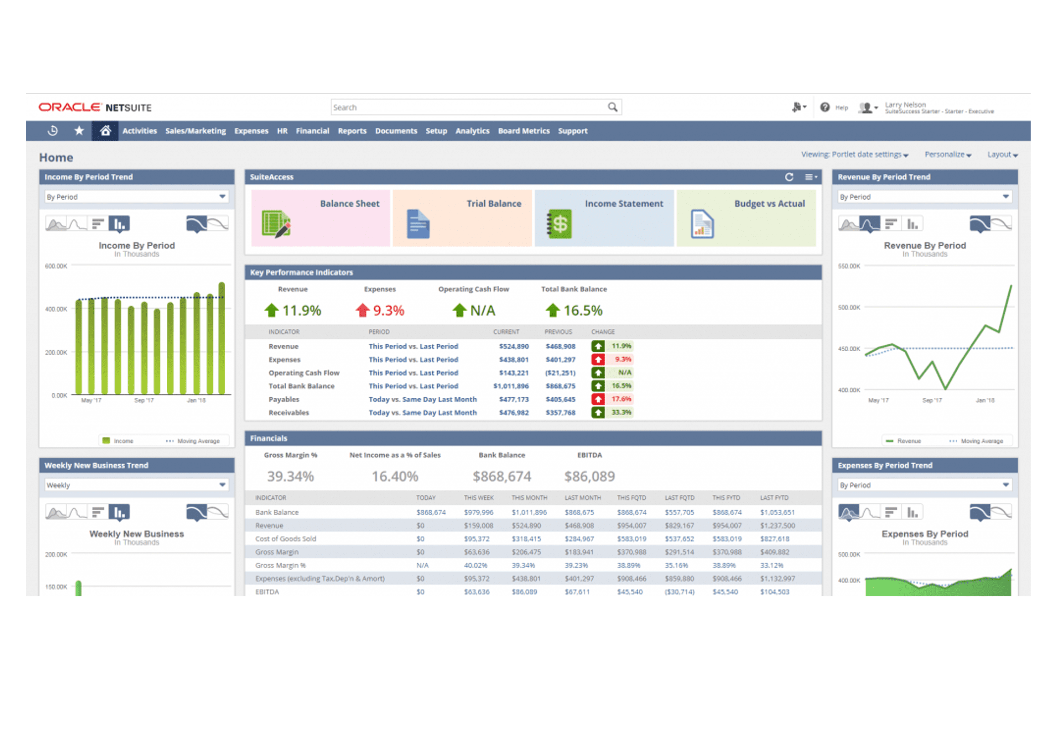 NetSuite Dashboard
