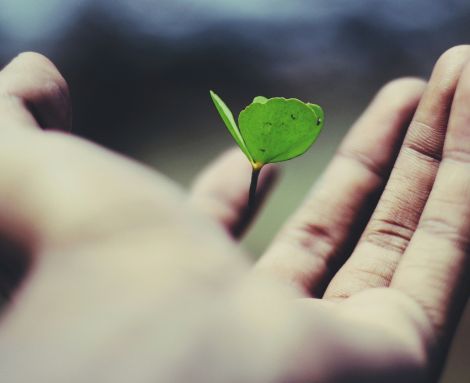 NetSuite Rescue Project that helps you grow