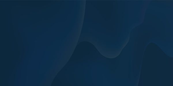 Webbinairum netsuite affärssystem.