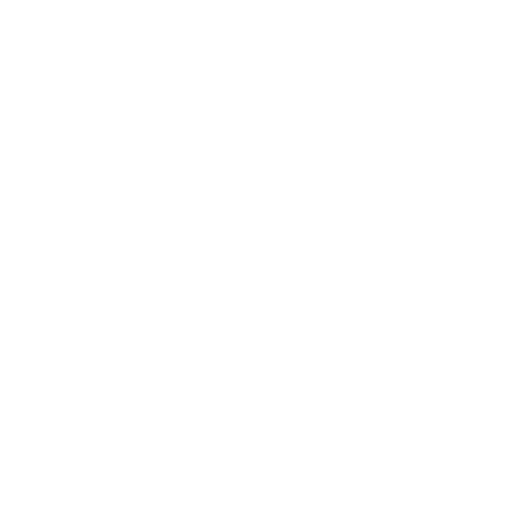 netsuite implementation