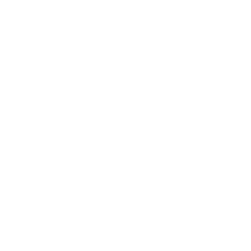 netsuite rådgivning