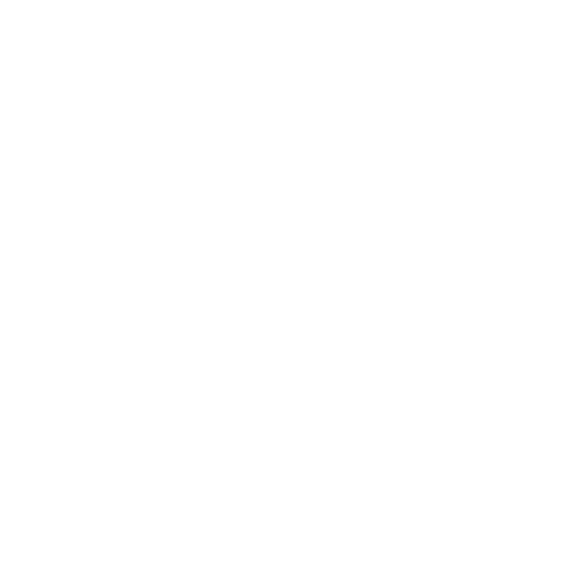netsuite konsultation